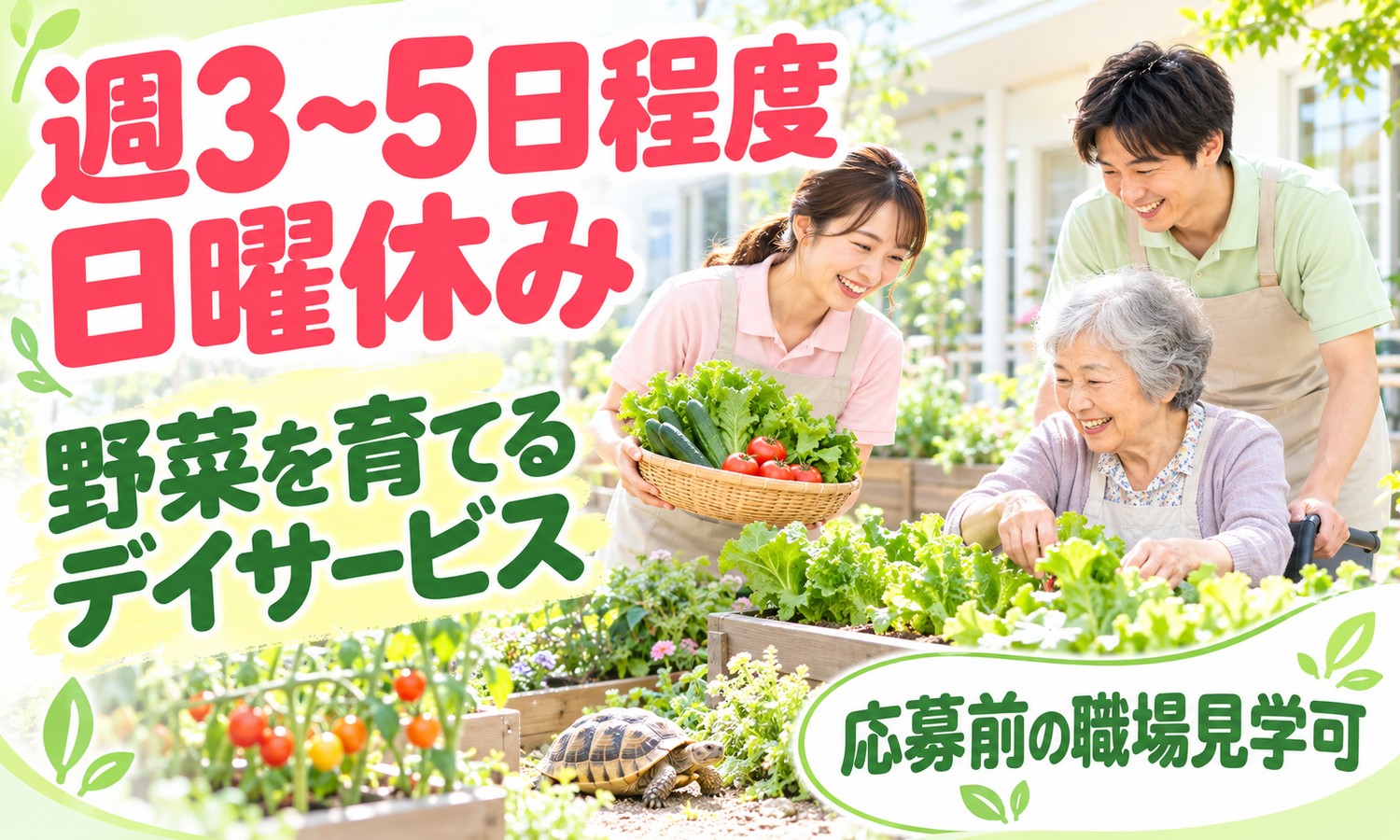 山口市の庭の菜園で、野菜かごを持つ介護スタッフと、野菜を世話する利用者。足元にリクガメもいる（株式会社ANNO-M（ハートホーム小郡 脳活性リハビリ）・認知症対応型通所介護の介護職員「グリーンケアとリクガメの世話」の求人イメージ）